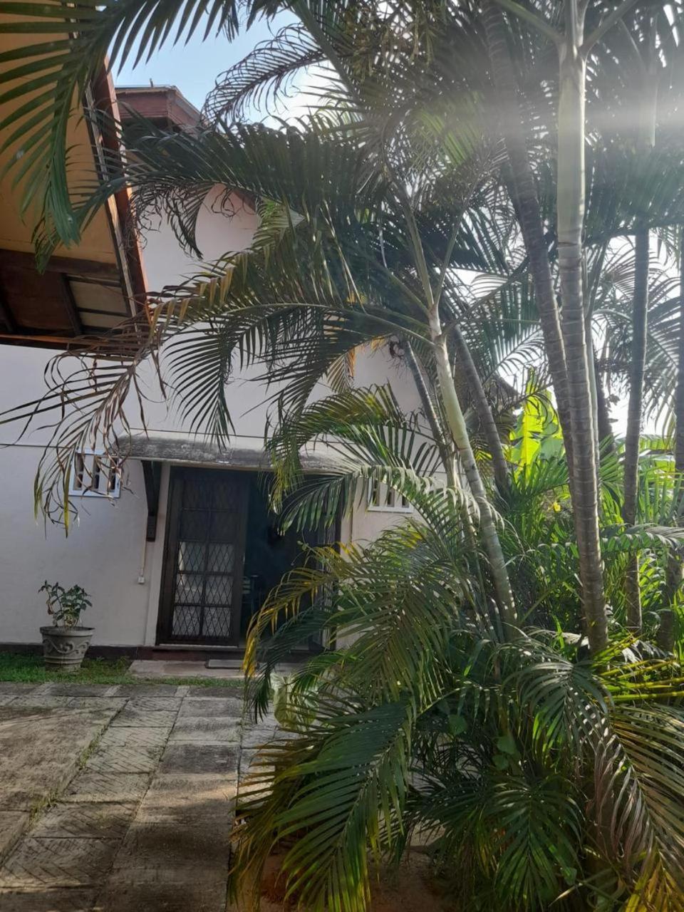 Fuchs Villas Negombo Exteriér fotografie