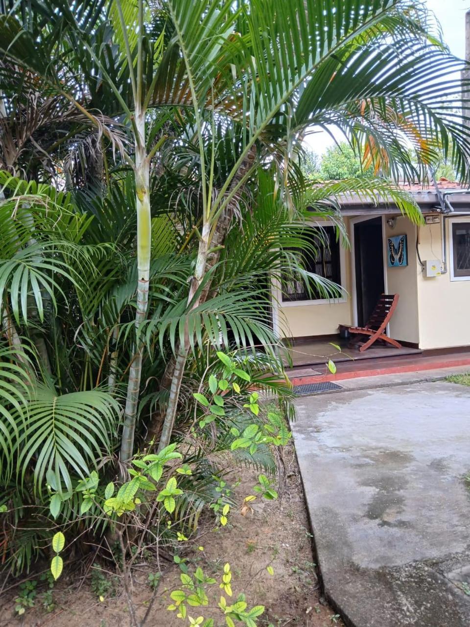 Fuchs Villas Negombo Exteriér fotografie